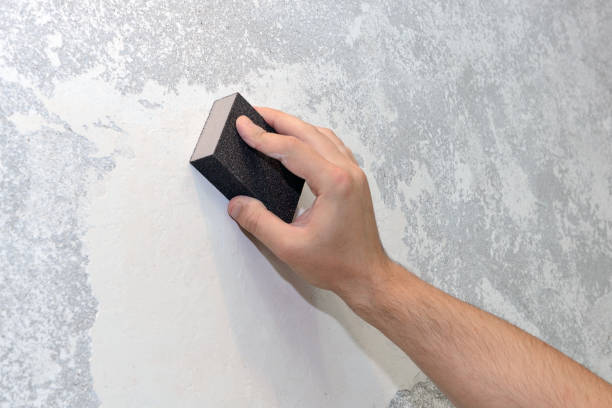 Best Black Mold Removal  in Preston, IA