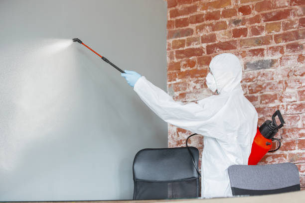 Best Mold Remediation for Rental Properties  in Preston, IA