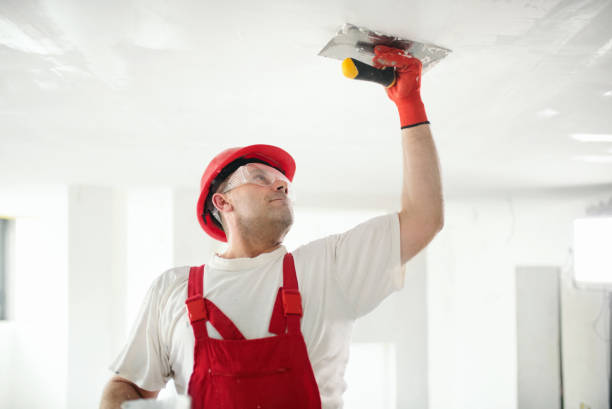 Best Mold Removal for HVAC Installations  in Preston, IA